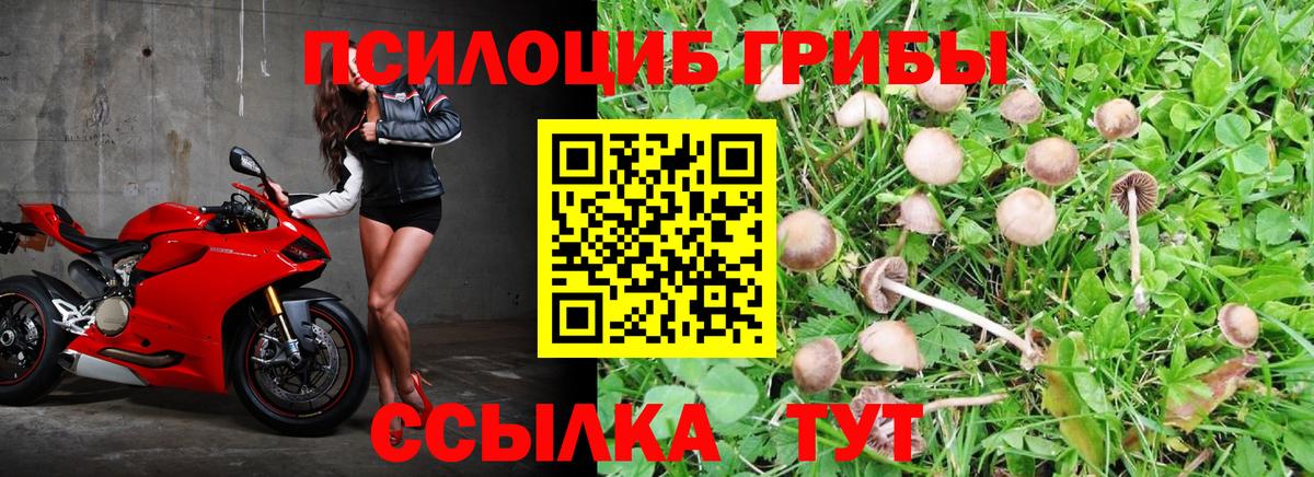 Галлюциногенные грибы GOLDEN TEACHER  Вход с VPN  Псилоцибиновые грибы мицелий  Азнакаево 